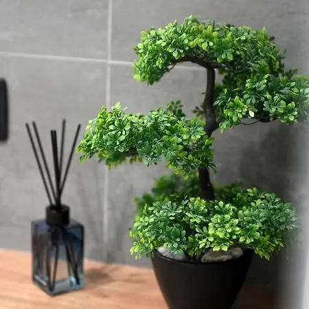 Aura Exclusive & Apartman