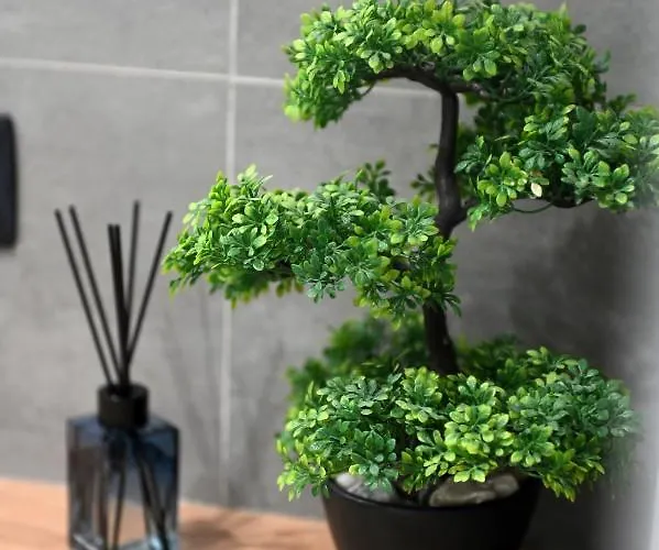 Aura Exclusive & Lägenhet