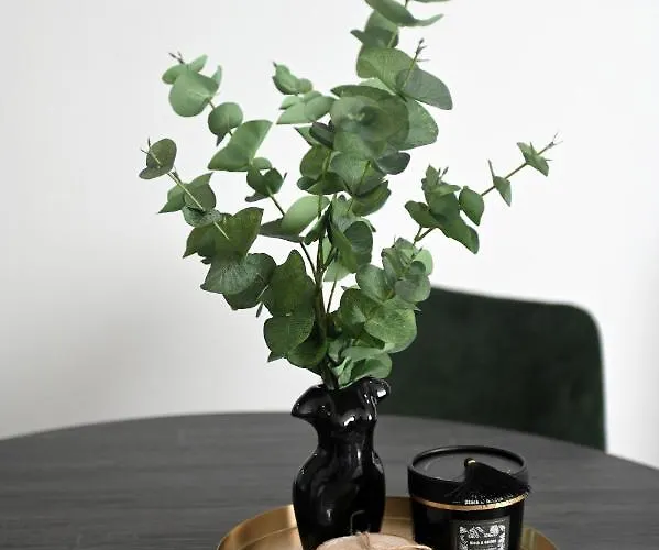 Lägenhet Aura Exclusive & Zadar