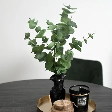 Apartment Aura Exclusive & Zadar